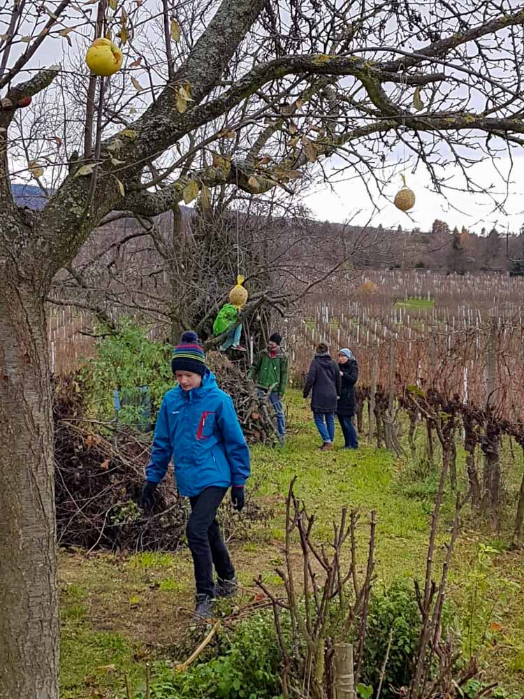 20191208 Tierweihnacht_Sabine-19.jpg