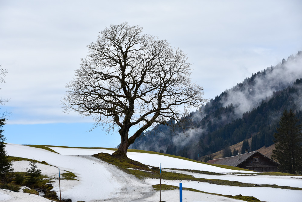 20200222 NF_Winterfreizeit Thalkirchen-43.jpg