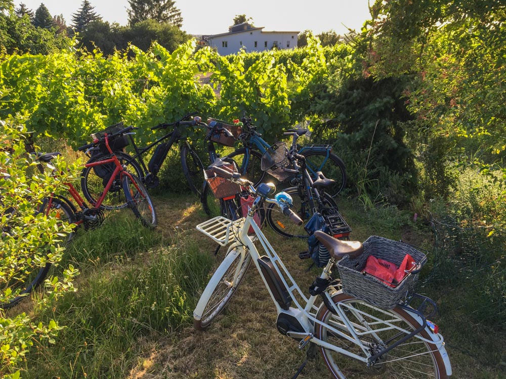 20200709 Kubb_Manu-9.jpg