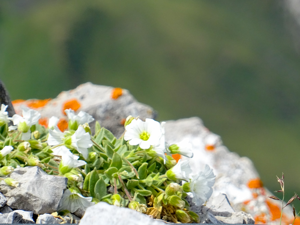 20200805 NF_Arlberger Klettersteig_Sascha-26.jpg