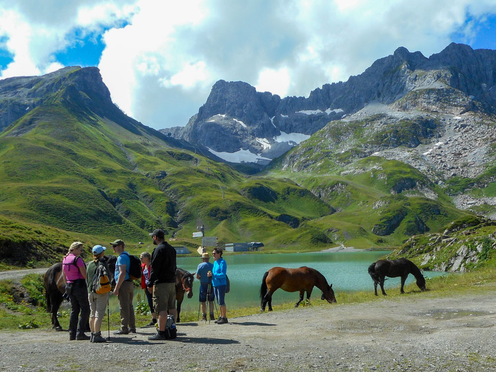 20200806 NF_Lechquellgebirge_Anke-20.jpg