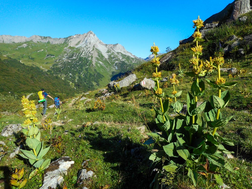 20200806 NF_Lechquellgebirge_Anke-32.jpg
