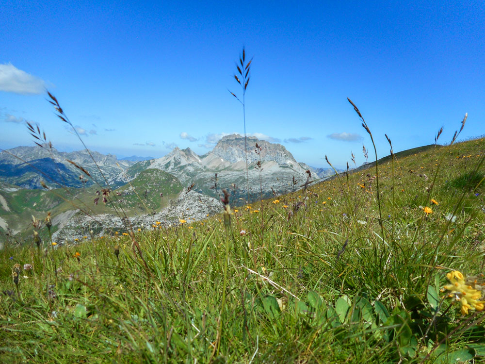 20200806 NF_Lechquellgebirge_Anke-44.jpg