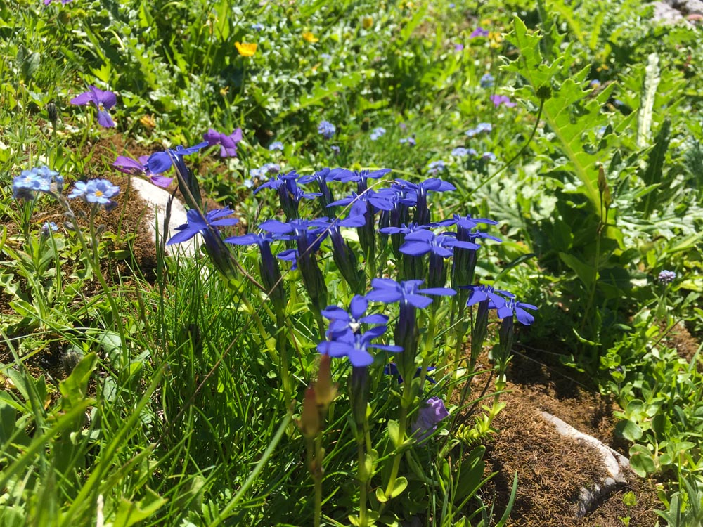 20200806 NF_Lechquellgebirge_Michael-12.jpg