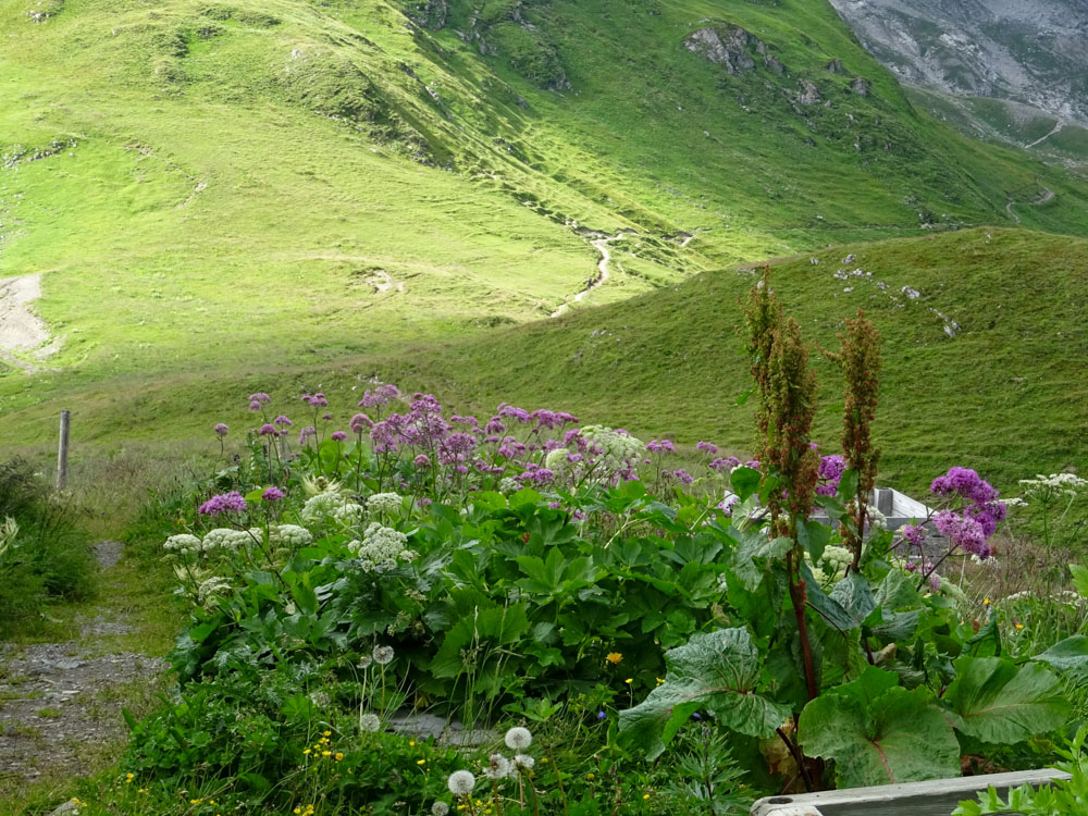 20200806 NF_Lechquellgebirge_Sascha-39.jpg