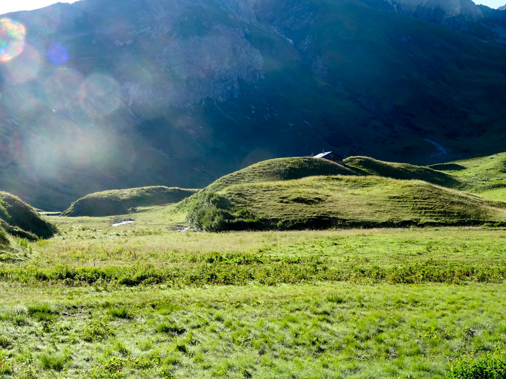 20200806 NF_Lechquellgebirge_Sascha-42.jpg