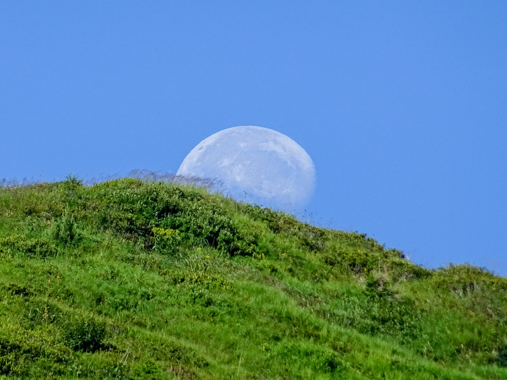 20200806 NF_Lechquellgebirge_Sascha-68.jpg