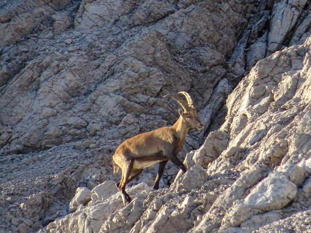 20200806 NF_Lechquellgebirge_Sascha-137.jpg