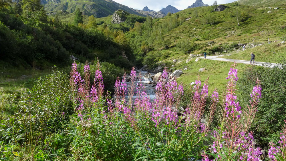 20200827 NF_Montafon_Heinz-16.jpg