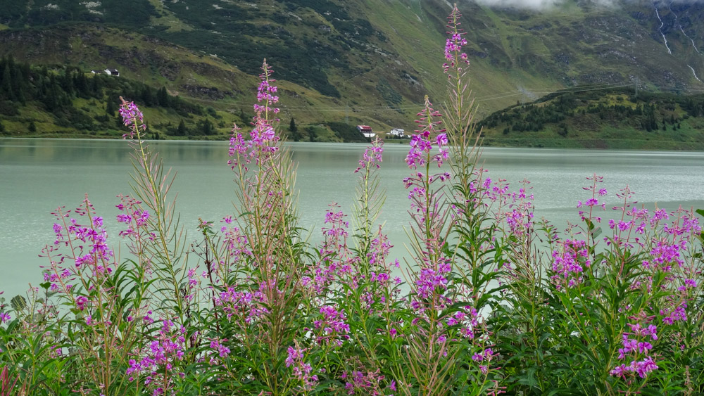 20200827 NF_Montafon_Heinz-63.jpg