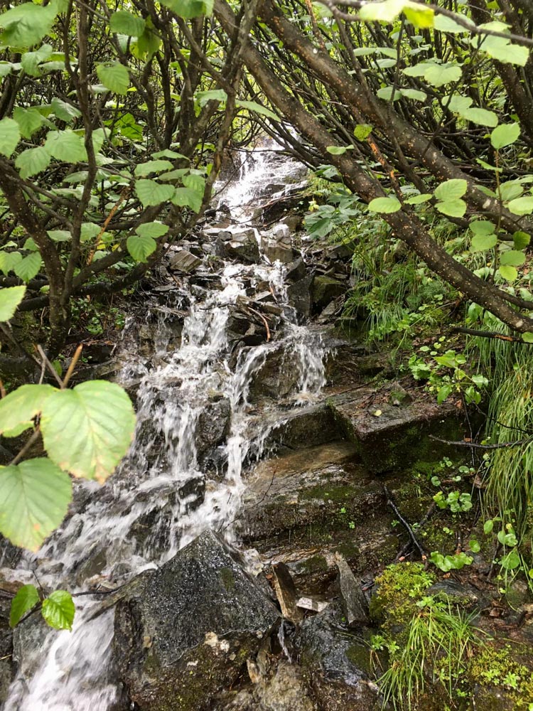 20200827 NF_Montafon_Krins-14.jpg