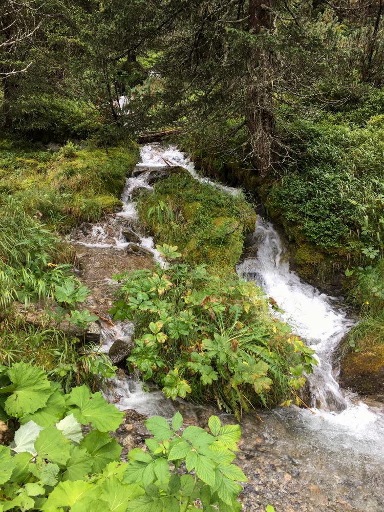 20200827 NF_Montafon_Krins-33.jpg