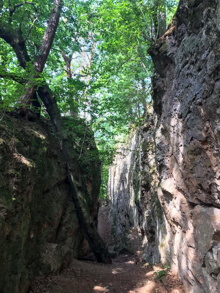 20200905 NF_Rund um Schriesheim_Anke-3.jpg