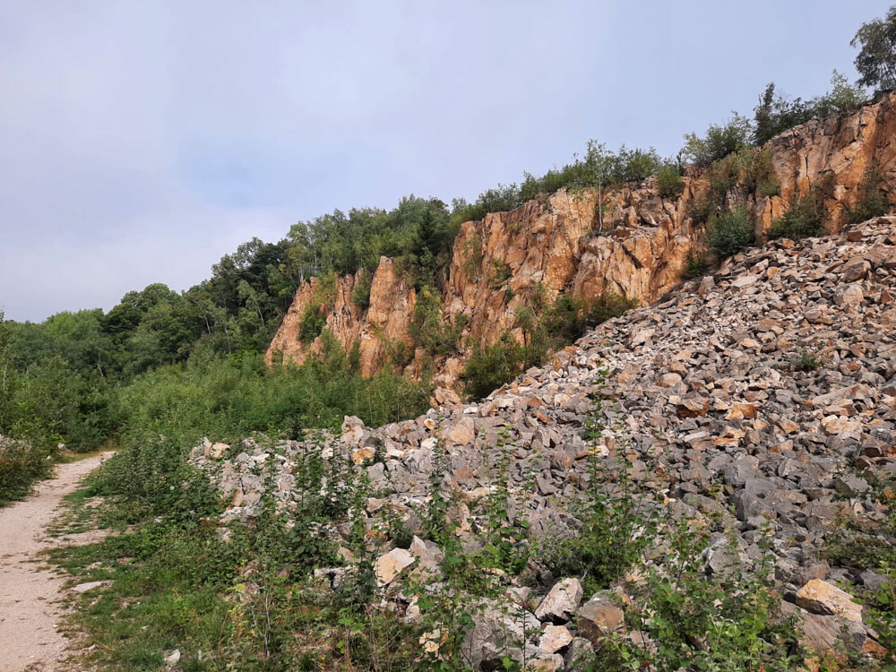 20200905 NF_Rund um Schriesheim_Anke-21.jpg
