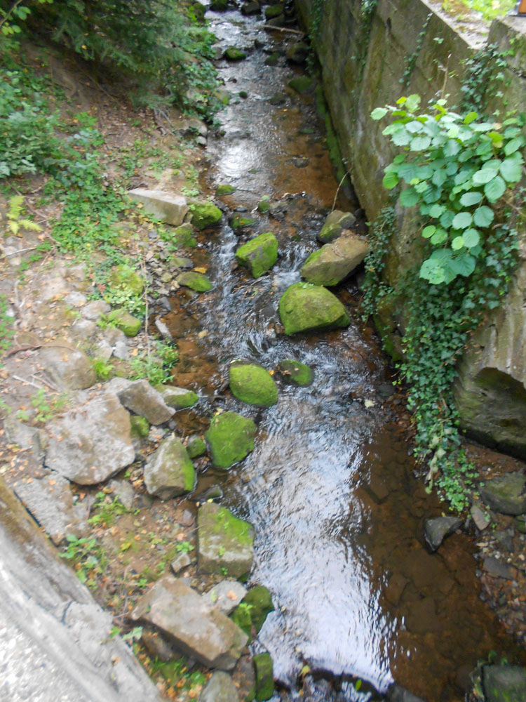 20200923 NF_Ü60 Ausflug_Christel-3.jpg
