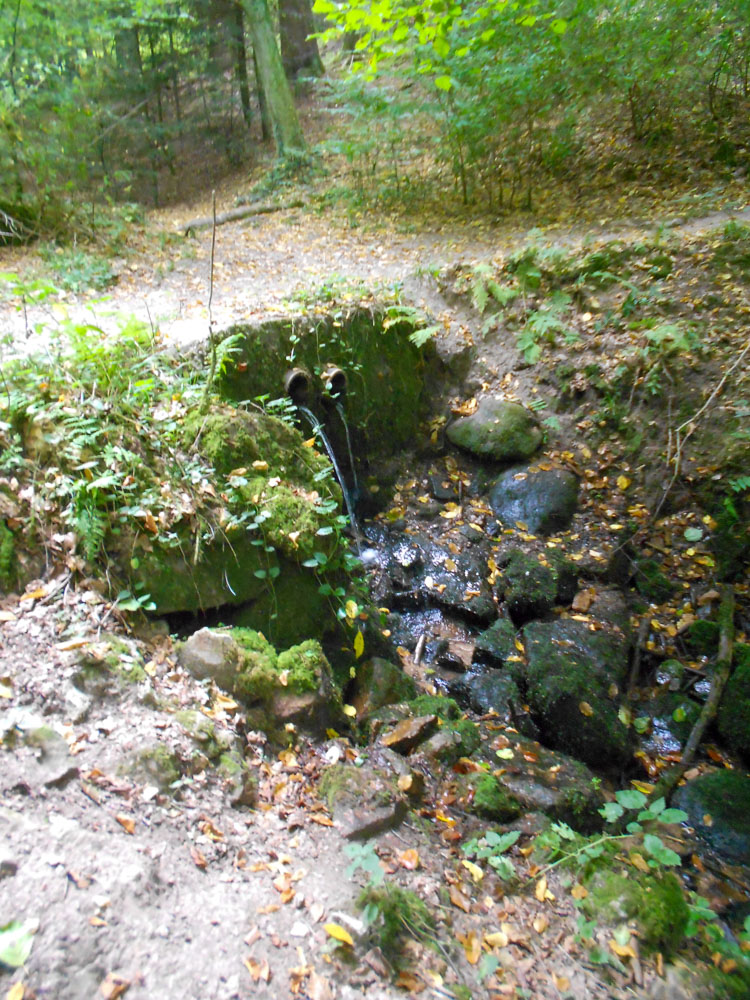 20200923 NF_Ü60 Ausflug_Christel-11.jpg