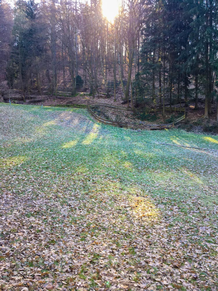 20210306 NF_Kleiner Arbeitseinsatz_Manuela-3.jpg
