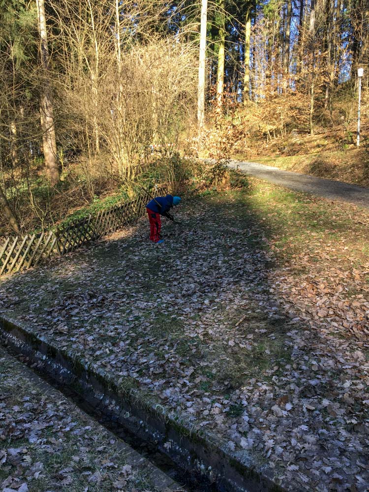 20210306 NF_Kleiner Arbeitseinsatz_Manuela-6.jpg