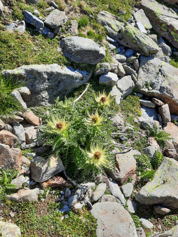 20210805 NF_Ötztal_Anke-14.jpg