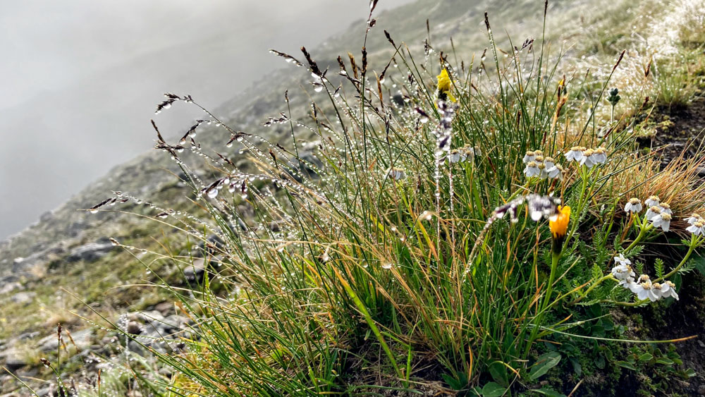 20210805 NF_Ötztal_Michael-87.jpg