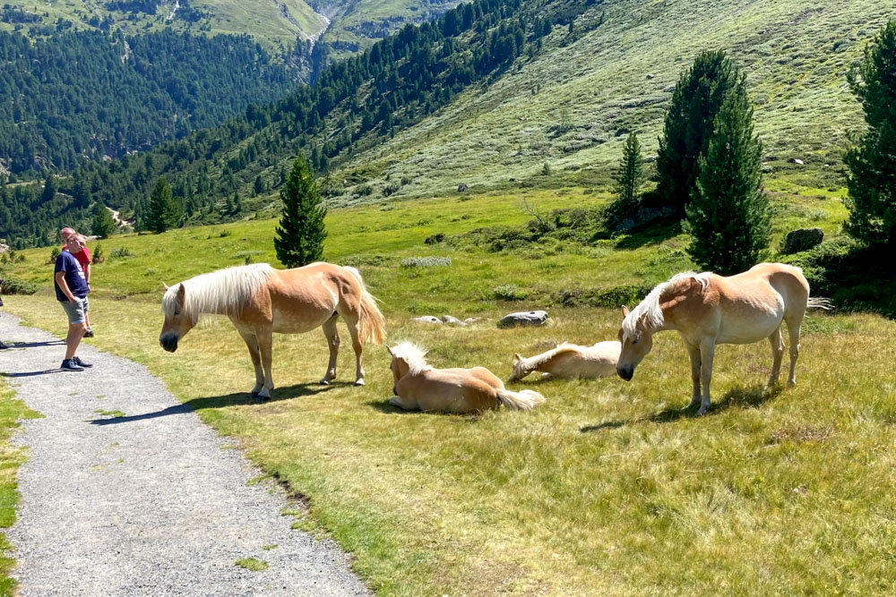 20210805 NF_Ötztal_Michael-200.jpg