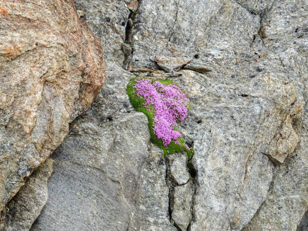 20210805 NF_Ötztal_Sascha-35.jpg