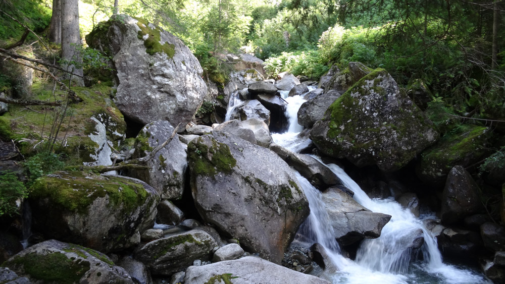 20210819 NF_Montafon_Heinz-13.jpg