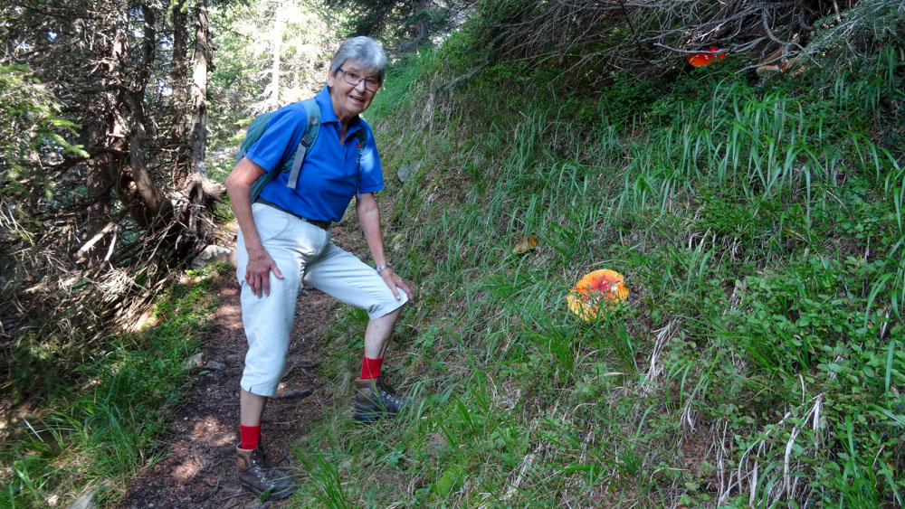 20210819 NF_Montafon_Heinz-29.jpg