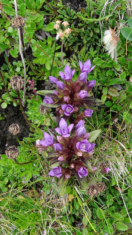 20210819 NF_Montafon_Heinz-96.jpg