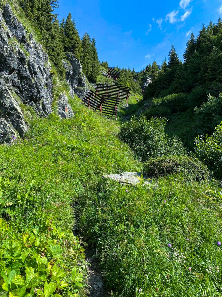 20210819 NF_Montafon_Karl-19.jpg