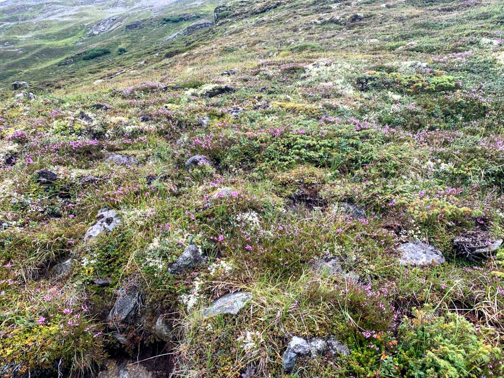 20210819 NF_Montafon_Karl-41.jpg