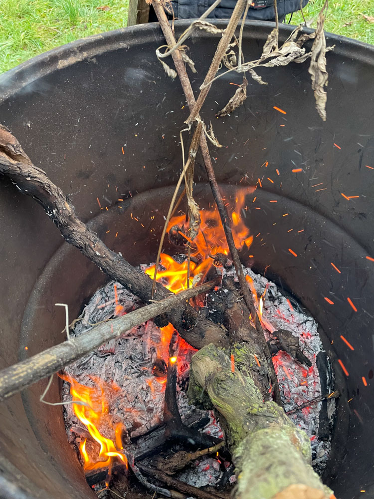 2021 NF_Tierweihnacht_Manu-16.jpg