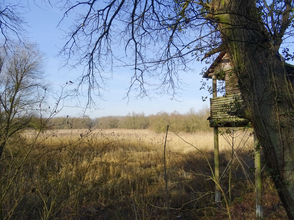 20220213 Wanderung Kühkopf-Knoblochsaue_Sascha-3.jpg