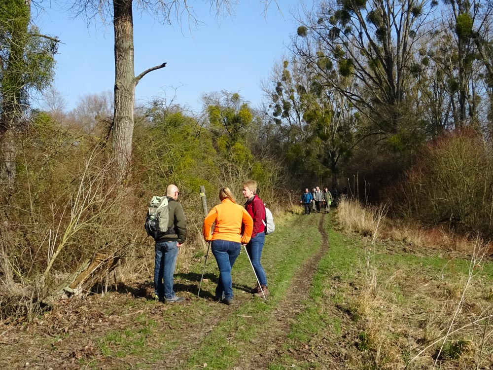 20220213 Wanderung Kühkopf-Knoblochsaue_Sascha-5.jpg