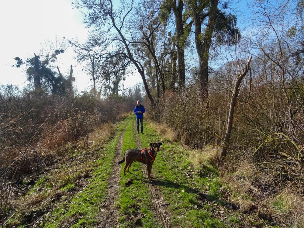 20220213 Wanderung Kühkopf-Knoblochsaue_Sascha-6.jpg