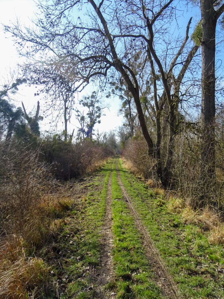 20220213 Wanderung Kühkopf-Knoblochsaue_Sascha-7.jpg