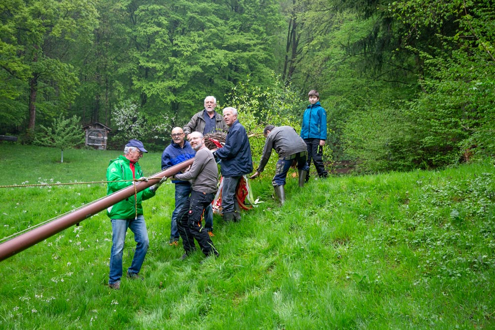 20220430 NF_Maibaum stellen_Karl-36.jpg