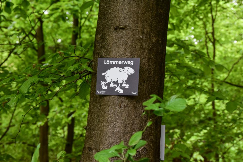 20220507 NF_Teutoburger Wald_Manuela-2.jpg