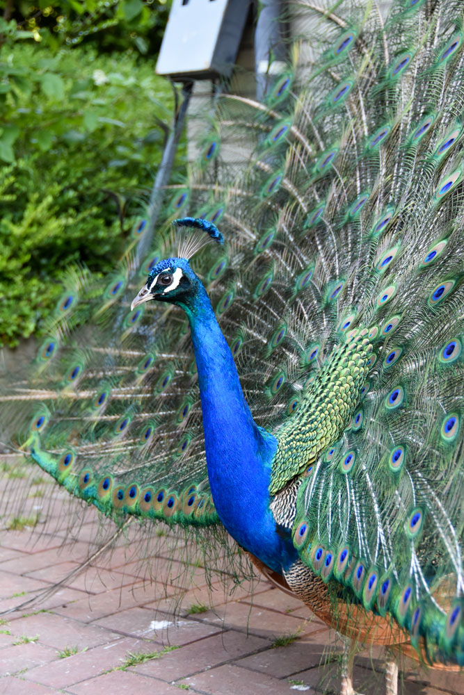 20220507 NF_Teutoburger Wald_Manuela-6.jpg