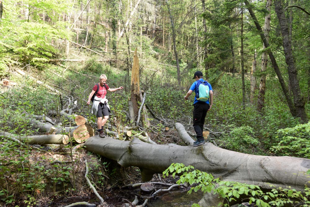 20220507 NF_Teutoburger Wald_Manuela-12.jpg