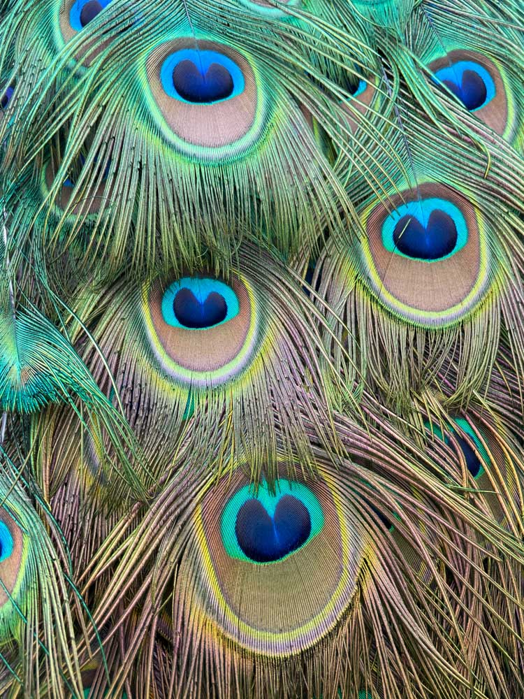 20220507 NF_Teutoburger Wald_Manuela-24.jpg