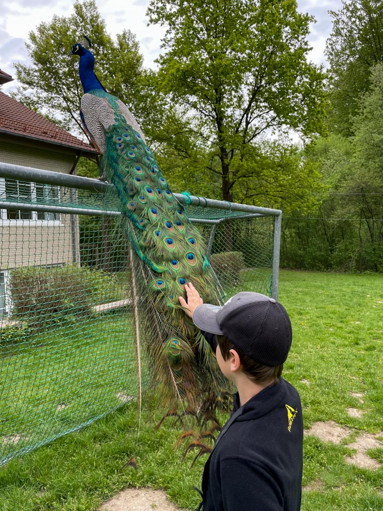 20220507 NF_Teutoburger Wald_Manuela-25.jpg