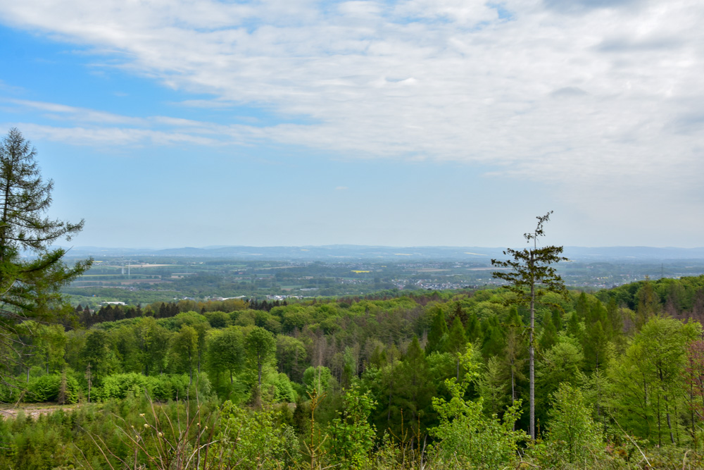 20220507 NF_Teutoburger Wald_Manuela-29.jpg