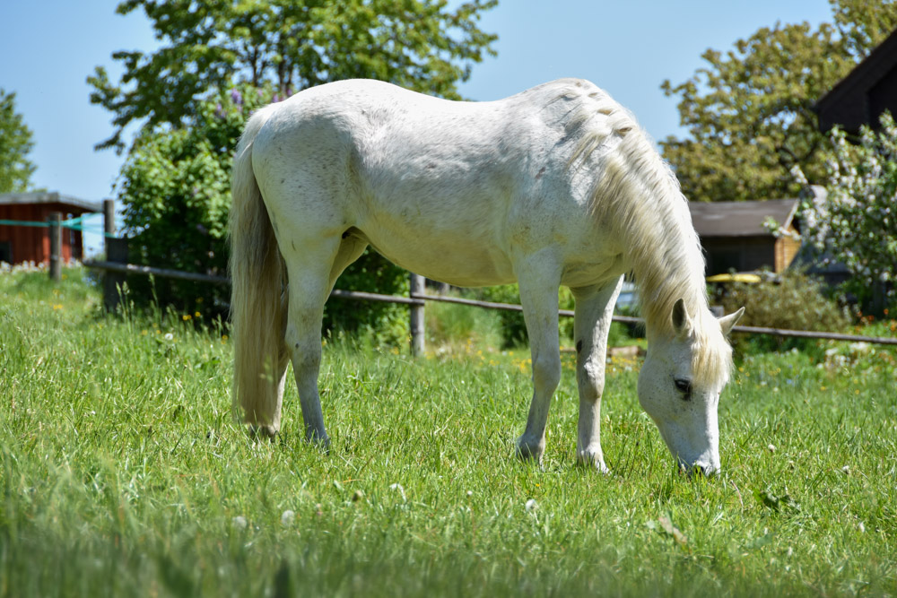 20220507 NF_Teutoburger Wald_Manuela-32.jpg