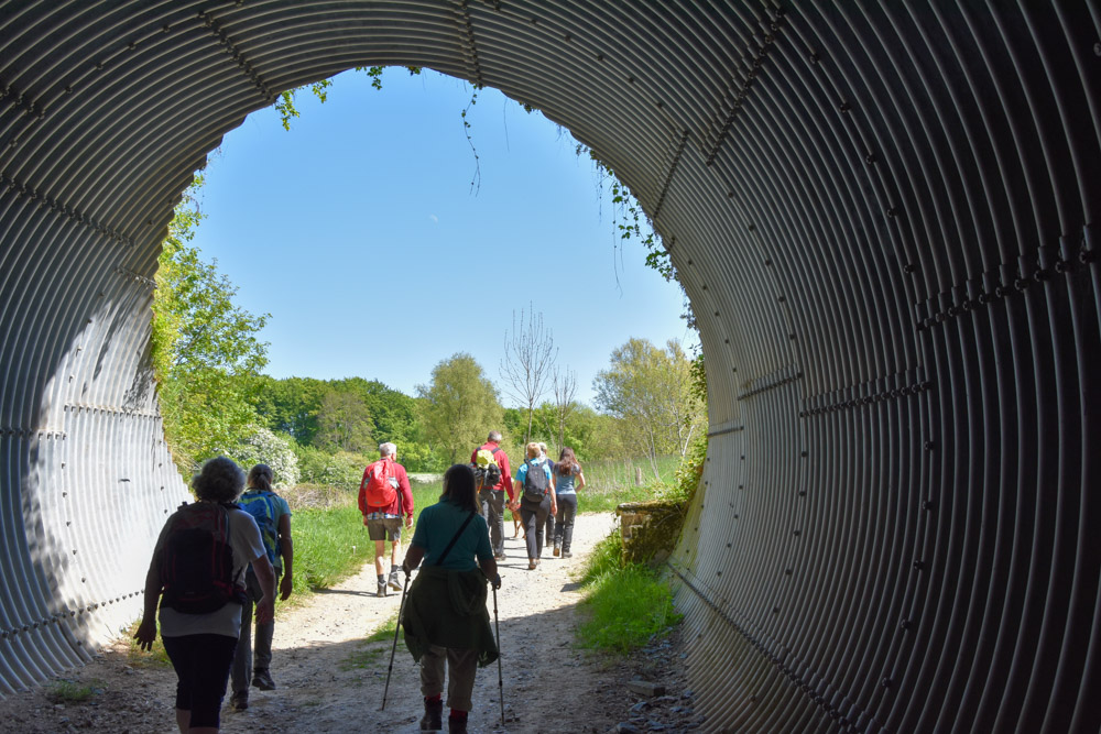 20220507 NF_Teutoburger Wald_Manuela-37.jpg