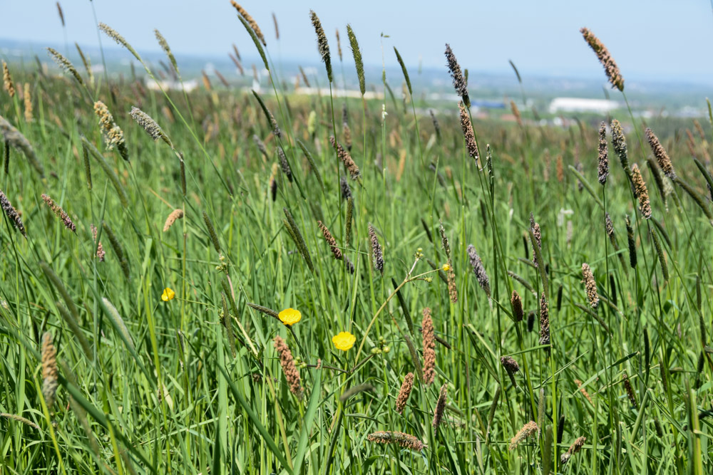 20220507 NF_Teutoburger Wald_Manuela-39.jpg