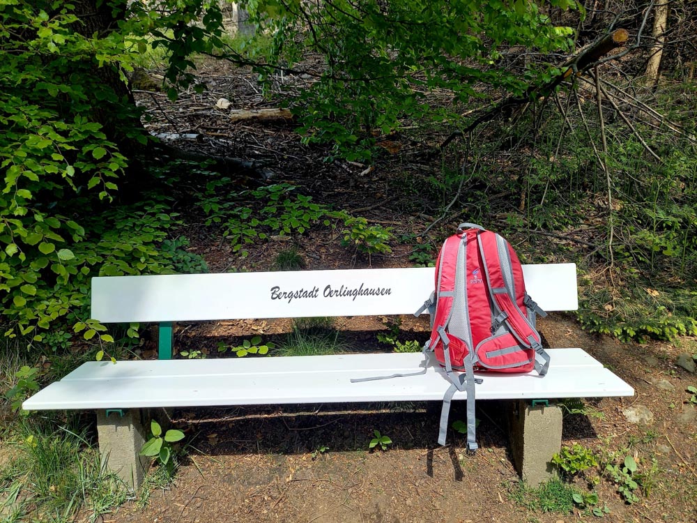 20220507 NF_Teutoburger Wald_Christel-3.jpg