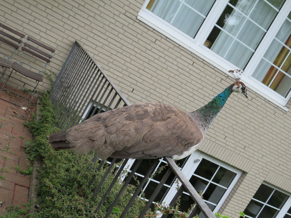 20220507 NF_Teutoburger Wald_Sönke-3.jpg