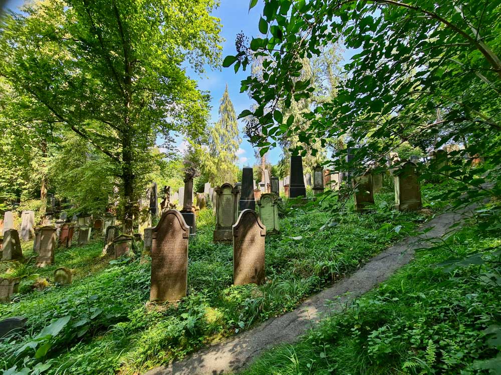 20220724 NF_Wanderung Hemsbach_Sabine-11.jpg