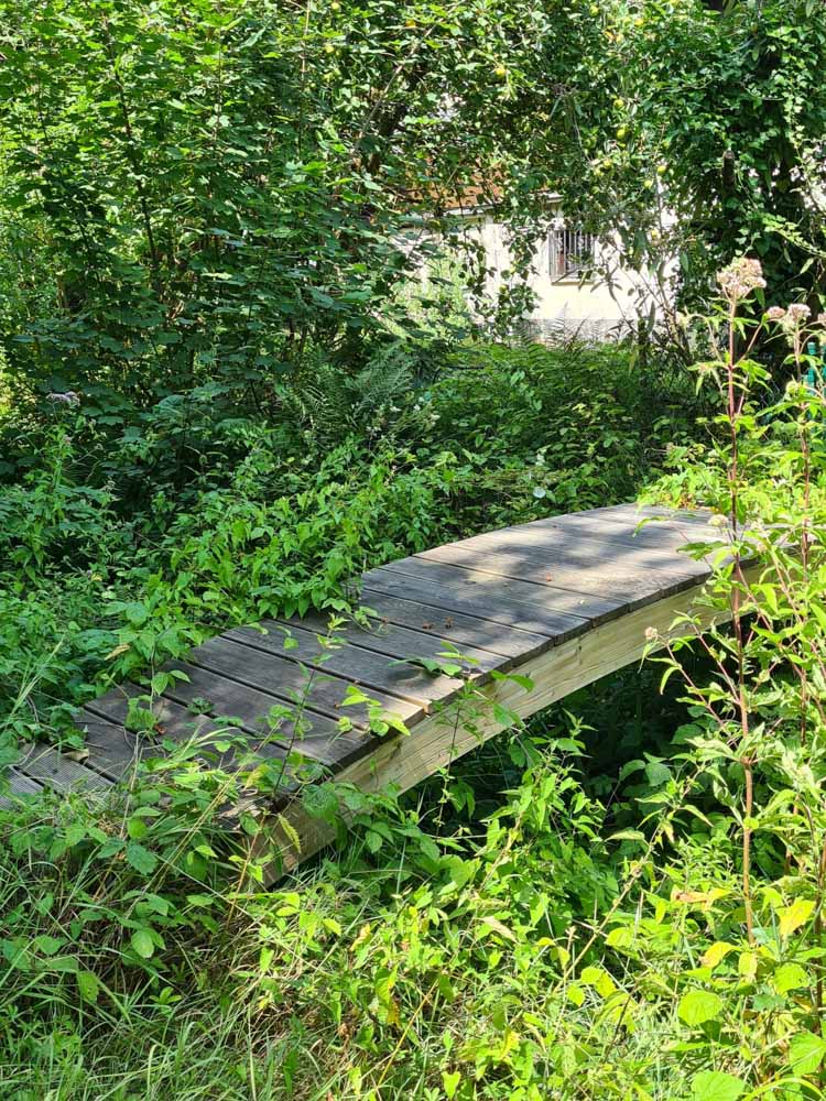 20220724 NF_Wanderung Hemsbach_Sabine-15.jpg